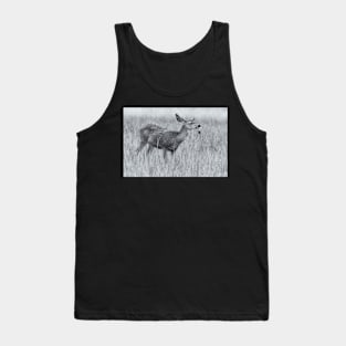 Mule Deer in bw Tank Top